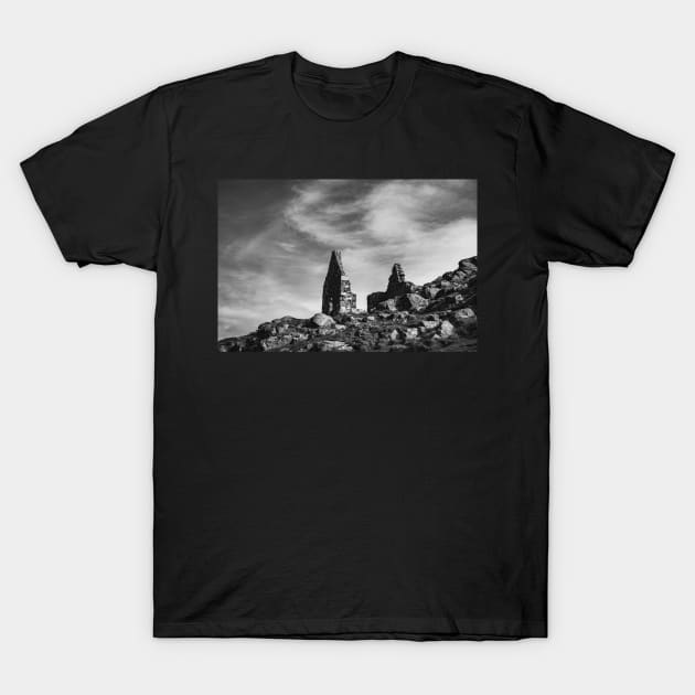 Ruins of a house T-Shirt by Errne